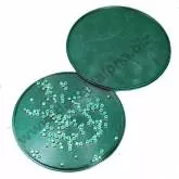 Zündhütchenwendebox / Primer Flip Tray